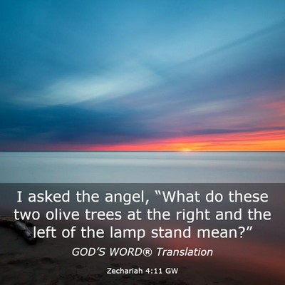 Picture 03 - Zechariah 4:11 GW - I asked the angel, “What do these two olive - Bible Verse Picture