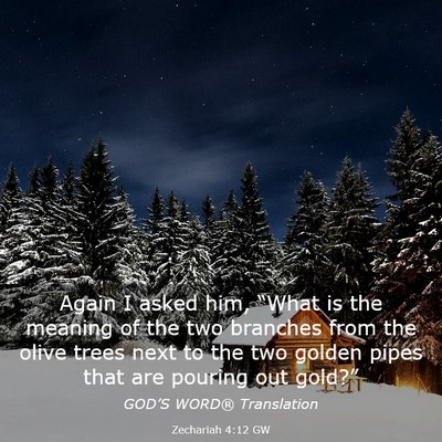 Picture 03 - Zechariah 4:12 GW - Again I asked him, “What is the meaning of the - Bible Verse Picture