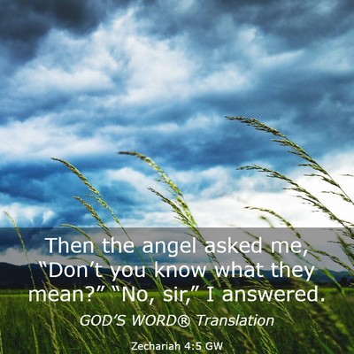 Picture 03 - Zechariah 4:5 GW - Then the angel asked me, “Don’t you know what - Bible Verse Picture