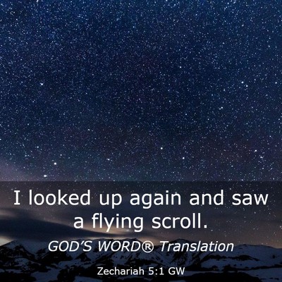 Picture 03 - Zechariah 5:1 GW - I looked up again and saw a flying - Bible Verse Picture