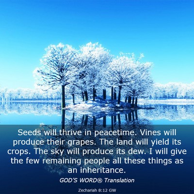 Picture 03 - Zechariah 8:12 GW - Seeds will thrive in peacetime. Vines will - Bible Verse Picture