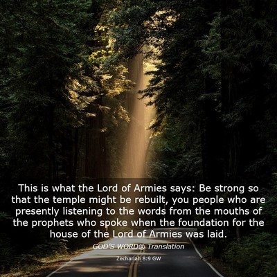 Picture 03 - Zechariah 8:9 GW - This is what the Lord of Armies says: Be strong - Bible Verse Picture