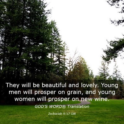 Picture 03 - Zechariah 9:17 GW - They will be beautiful and lovely. Young men will - Bible Verse Picture