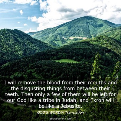 Picture 03 - Zechariah 9:7 GW - I will remove the blood from their mouths and the - Bible Verse Picture