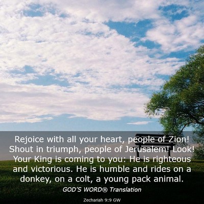 Picture 03 - Zechariah 9:9 GW - Rejoice with all your heart, people of Zion! - Bible Verse Picture