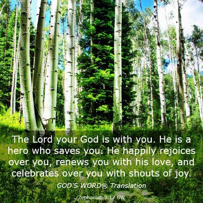 Picture 03 - Zephaniah 3:17 GW - The Lord your God is with you. He is a hero who - Bible Verse Picture