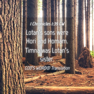 Picture 04 - 1 Chronicles 1:39 GW - Lotan’s sons were Hori and Homam. Timna was - Bible Verse Picture