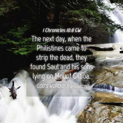 Picture 04 - 1 Chronicles 10:8 GW - The next day, when the Philistines came to strip - Bible Verse Picture