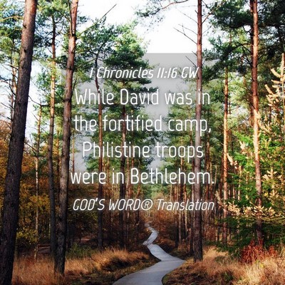 Picture 04 - 1 Chronicles 11:16 GW - While David was in the fortified camp, Philistine - Bible Verse Picture