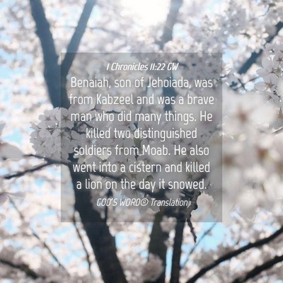 Picture 04 - 1 Chronicles 11:22 GW - Benaiah, son of Jehoiada, was from Kabzeel and - Bible Verse Picture