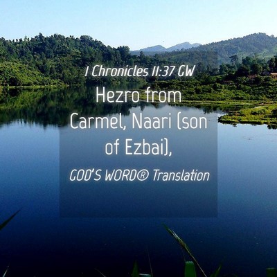 Picture 04 - 1 Chronicles 11:37 GW - Hezro from Carmel, Naari (son of - Bible Verse Picture