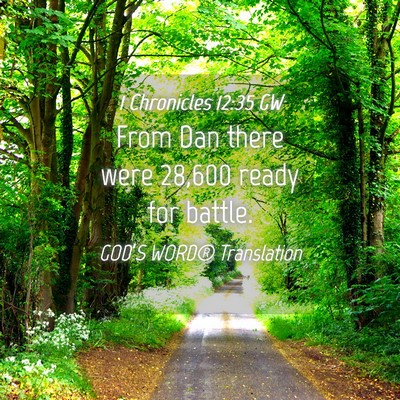 Picture 04 - 1 Chronicles 12:35 GW - From Dan there were 28,600 ready for - Bible Verse Picture