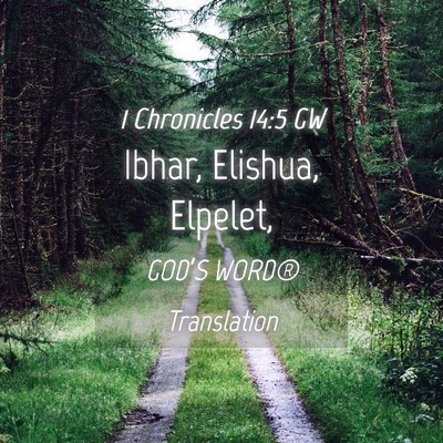 Picture 04 - 1 Chronicles 14:5 GW - Ibhar, Elishua, - Bible Verse Picture