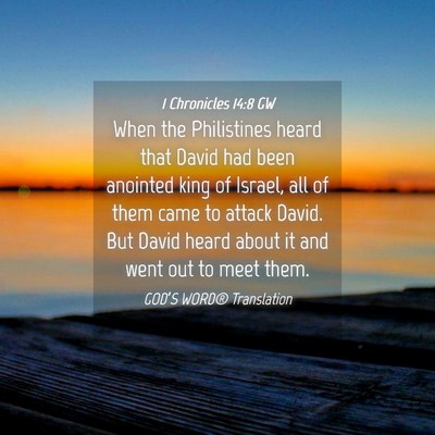 Picture 04 - 1 Chronicles 14:8 GW - When the Philistines heard that David had been - Bible Verse Picture