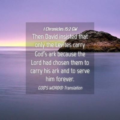 Picture 04 - 1 Chronicles 15:2 GW - Then David insisted that only the Levites carry - Bible Verse Picture