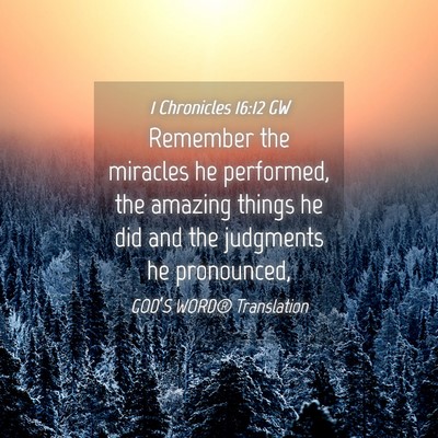 Picture 04 - 1 Chronicles 16:12 GW - Remember the miracles he performed, the amazing - Bible Verse Picture