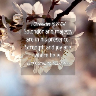 Picture 04 - 1 Chronicles 16:27 GW - Splendor and majesty are in his presence. - Bible Verse Picture