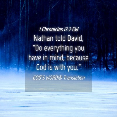 Picture 04 - 1 Chronicles 17:2 GW - Nathan told David, “Do everything you have in - Bible Verse Picture