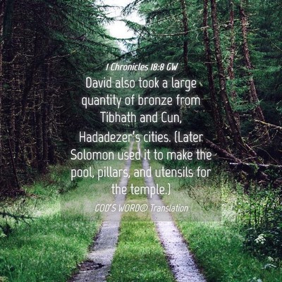 Picture 04 - 1 Chronicles 18:8 GW - David also took a large quantity of bronze from - Bible Verse Picture