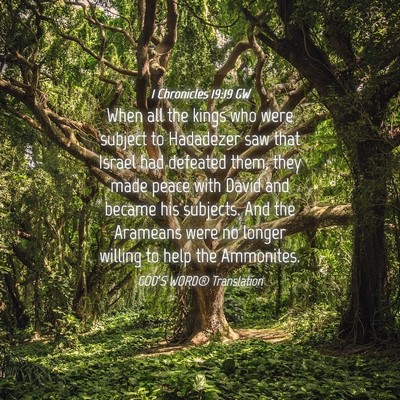 Picture 04 - 1 Chronicles 19:19 GW - When all the kings who were subject to Hadadezer - Bible Verse Picture