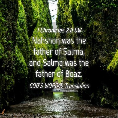 Picture 04 - 1 Chronicles 2:11 GW - Nahshon was the father of Salma, and Salma was - Bible Verse Picture