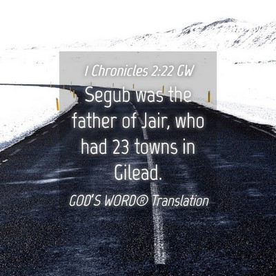 Picture 04 - 1 Chronicles 2:22 GW - Segub was the father of Jair, who had 23 towns in - Bible Verse Picture