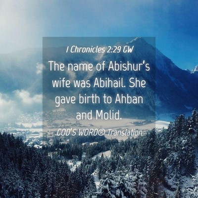 Picture 04 - 1 Chronicles 2:29 GW - The name of Abishur’s wife was Abihail. She - Bible Verse Picture