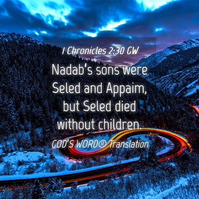 Picture 04 - 1 Chronicles 2:30 GW - Nadab’s sons were Seled and Appaim, but Seled - Bible Verse Picture