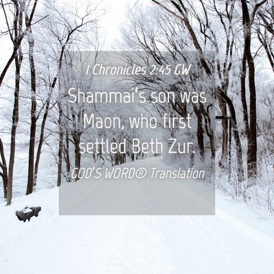 Picture 04 - 1 Chronicles 2:45 GW - Shammai’s son was Maon, who first settled Beth - Bible Verse Picture