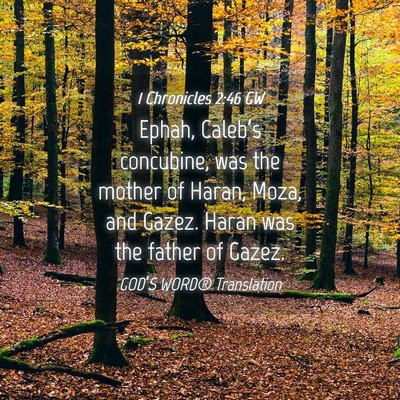 Picture 04 - 1 Chronicles 2:46 GW - Ephah, Caleb’s concubine, was the mother of - Bible Verse Picture