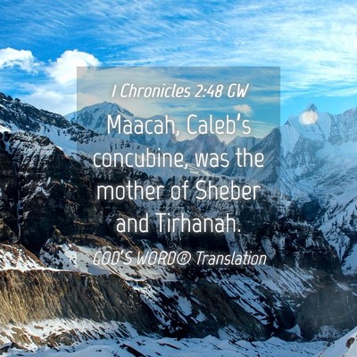 Picture 04 - 1 Chronicles 2:48 GW - Maacah, Caleb’s concubine, was the mother of - Bible Verse Picture