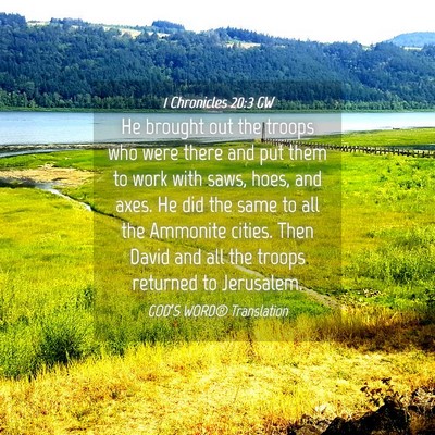 Picture 04 - 1 Chronicles 20:3 GW - He brought out the troops who were there and put - Bible Verse Picture