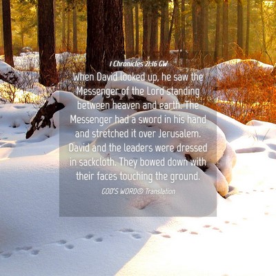 Picture 04 - 1 Chronicles 21:16 GW - When David looked up, he saw the Messenger of the - Bible Verse Picture