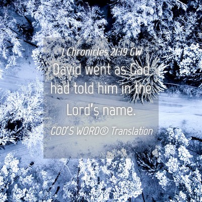 Picture 04 - 1 Chronicles 21:19 GW - David went as Gad had told him in the Lord’s - Bible Verse Picture