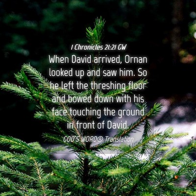 Picture 04 - 1 Chronicles 21:21 GW - When David arrived, Ornan looked up and saw him. - Bible Verse Picture