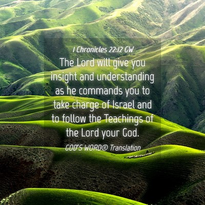 Picture 04 - 1 Chronicles 22:12 GW - The Lord will give you insight and understanding - Bible Verse Picture