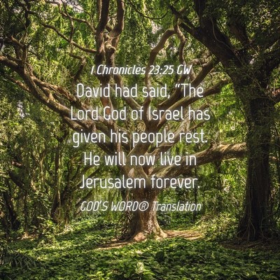Picture 04 - 1 Chronicles 23:25 GW - David had said, “The Lord God of Israel has - Bible Verse Picture