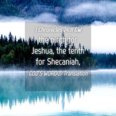 Picture 04 - 1 Chronicles 24:11 GW - the ninth for Jeshua, the tenth for - Bible Verse Picture