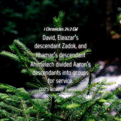 Picture 04 - 1 Chronicles 24:3 GW - David, Eleazar’s descendant Zadok, and - Bible Verse Picture