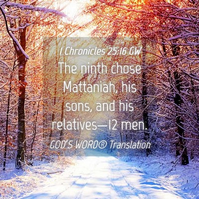 Picture 04 - 1 Chronicles 25:16 GW - The ninth chose Mattaniah, his sons, and his - Bible Verse Picture