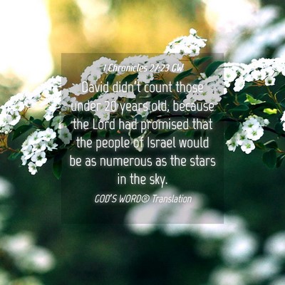 Picture 04 - 1 Chronicles 27:23 GW - David didn’t count those under 20 years old, - Bible Verse Picture