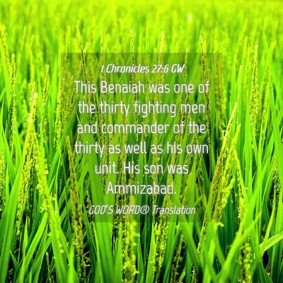 Picture 04 - 1 Chronicles 27:6 GW - This Benaiah was one of the thirty fighting men - Bible Verse Picture