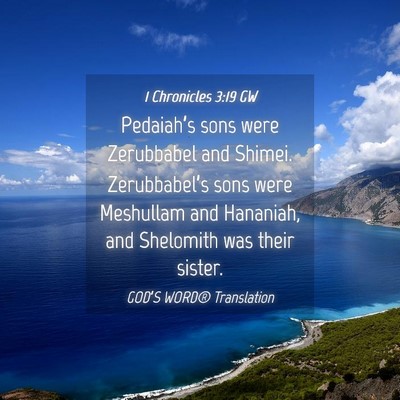 Picture 04 - 1 Chronicles 3:19 GW - Pedaiah’s sons were Zerubbabel and Shimei. - Bible Verse Picture