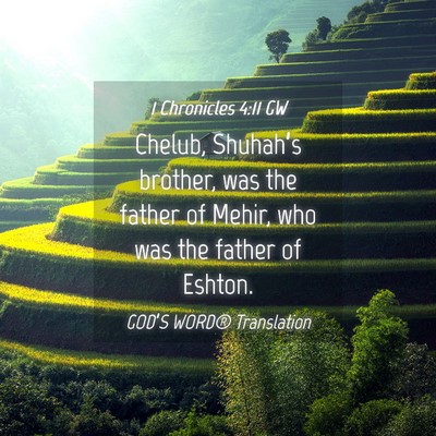 Picture 04 - 1 Chronicles 4:11 GW - Chelub, Shuhah’s brother, was the father of - Bible Verse Picture