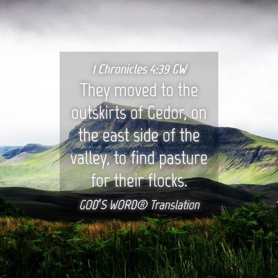 Picture 04 - 1 Chronicles 4:39 GW - They moved to the outskirts of Gedor, on the east - Bible Verse Picture