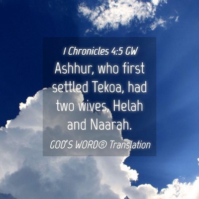Picture 04 - 1 Chronicles 4:5 GW - Ashhur, who first settled Tekoa, had two wives, - Bible Verse Picture
