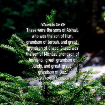 Picture 04 - 1 Chronicles 5:14 GW - These were the sons of Abihail, who was the son - Bible Verse Picture