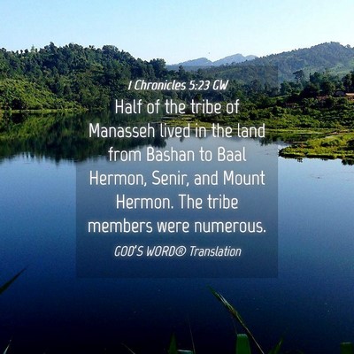 Picture 04 - 1 Chronicles 5:23 GW - Half of the tribe of Manasseh lived in the land - Bible Verse Picture