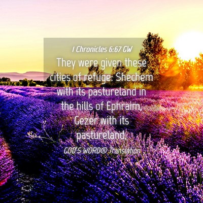 Picture 04 - 1 Chronicles 6:67 GW - They were given these cities of refuge: Shechem - Bible Verse Picture