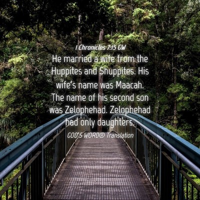 Picture 04 - 1 Chronicles 7:15 GW - He married a wife from the Huppites and - Bible Verse Picture